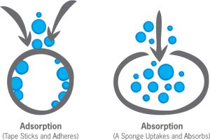 Adsorption vs. Absorption